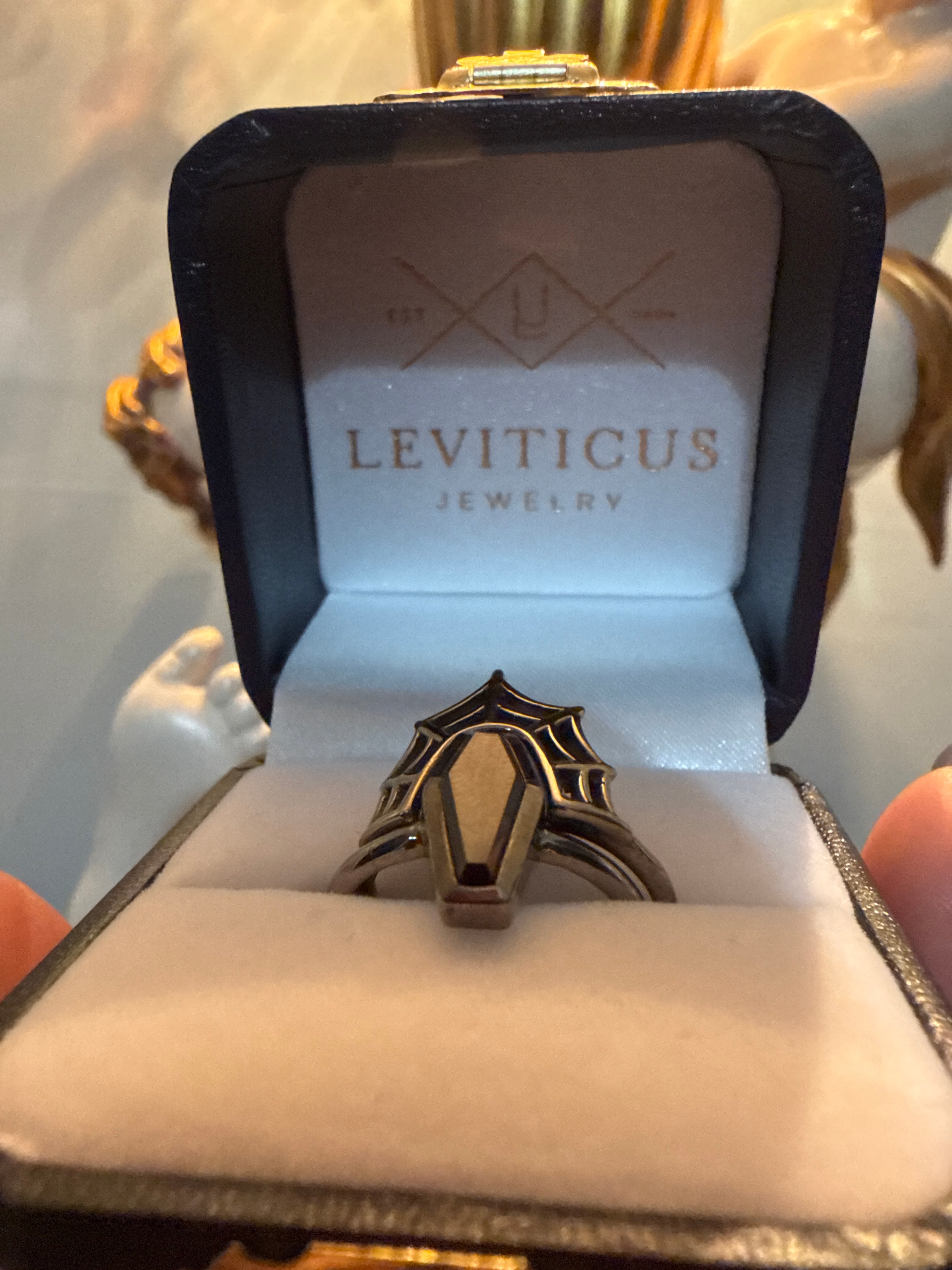 Leviticus spiderweb coffin ring set