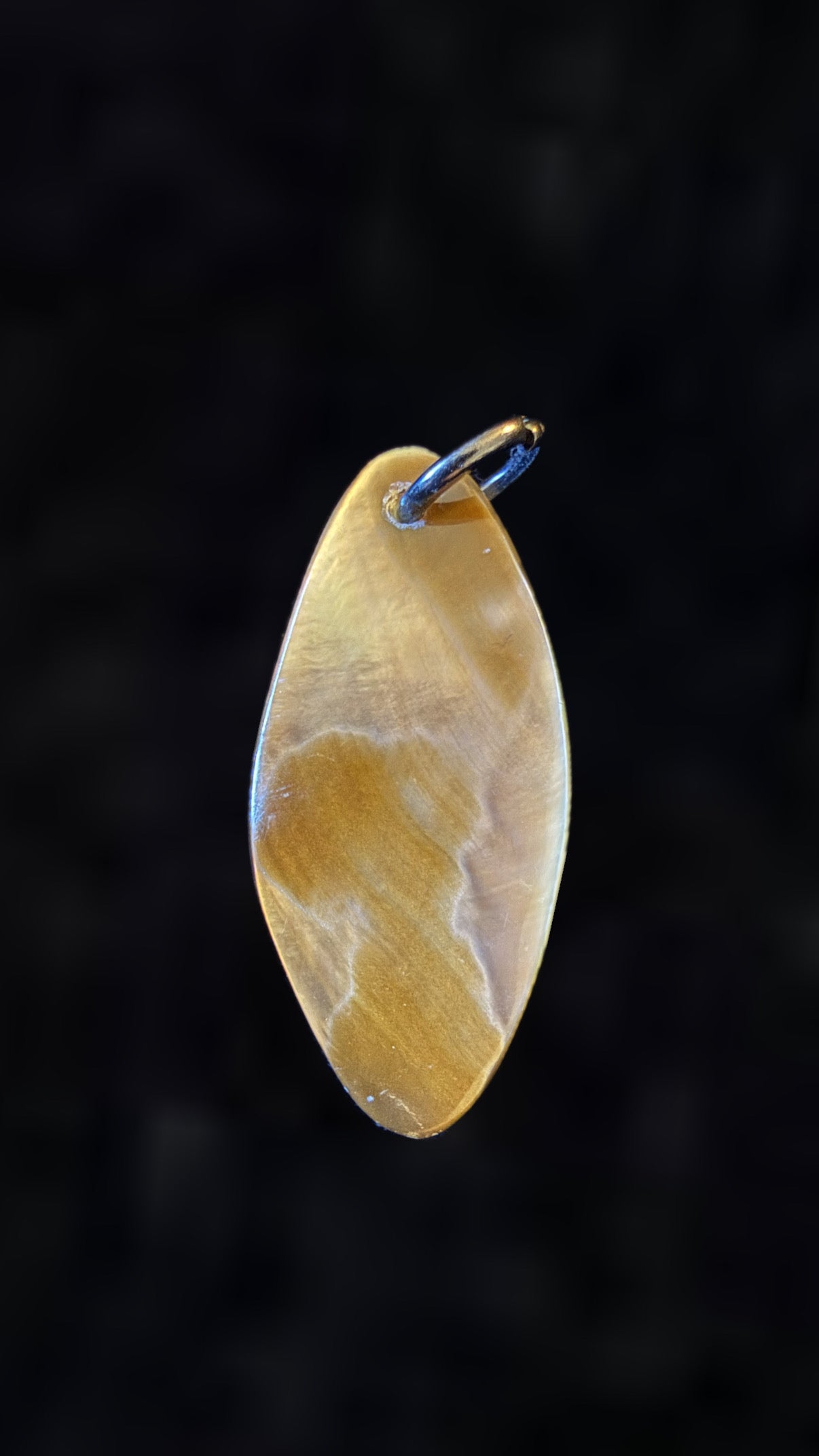 Vintage abalone pendant